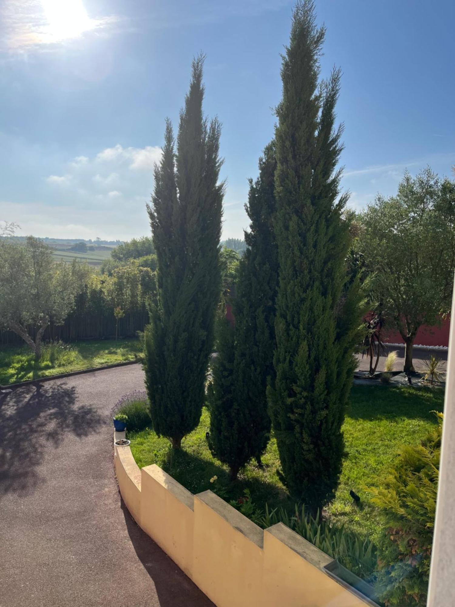 Le Clos Du Lupin Saint-Coulomb Exterior foto